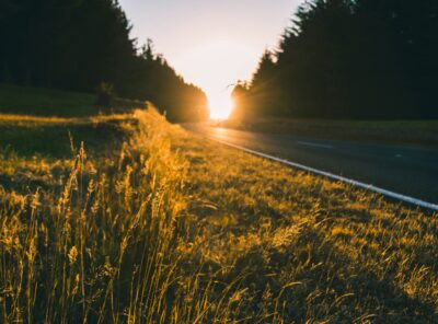 The Road Away From Fascism
